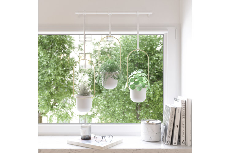 How to Hang a Planter Wayfair